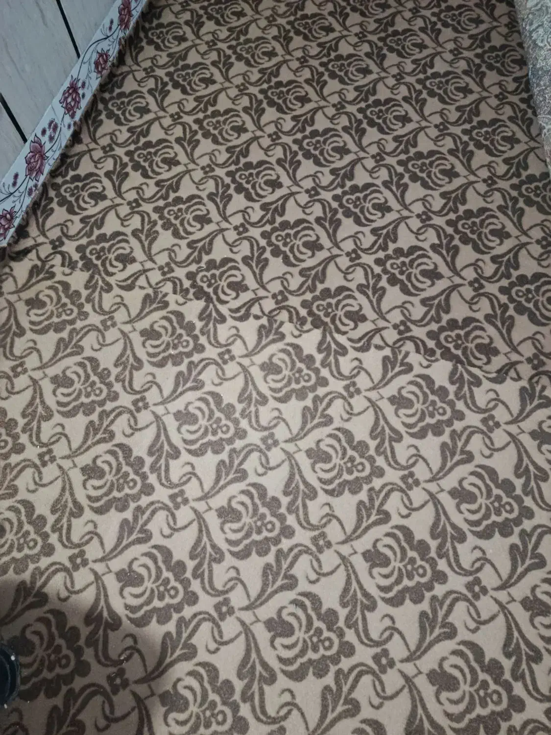 موکت در حد|موکت|دلند, |دیوار