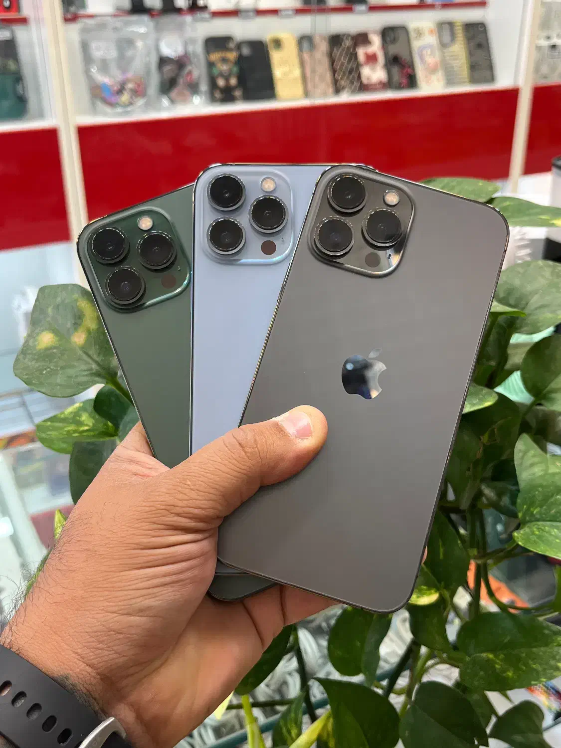 Iphone 13promax|موبایل|شیراز, زند|دیوار