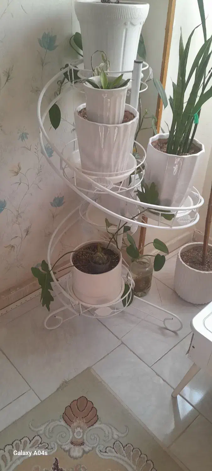 پایه گلدان وگلدان|گل و گیاه طبیعی|رباط‌کریم, مسکن مهر آبشناسان|دیوار