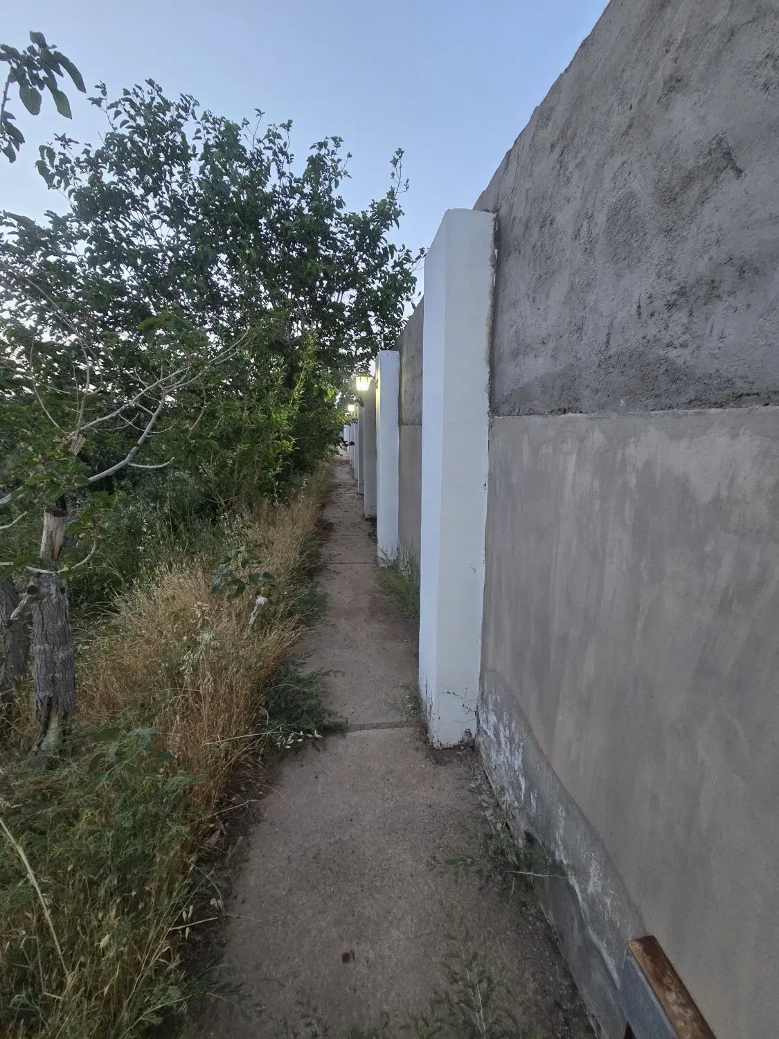 تصویر 6