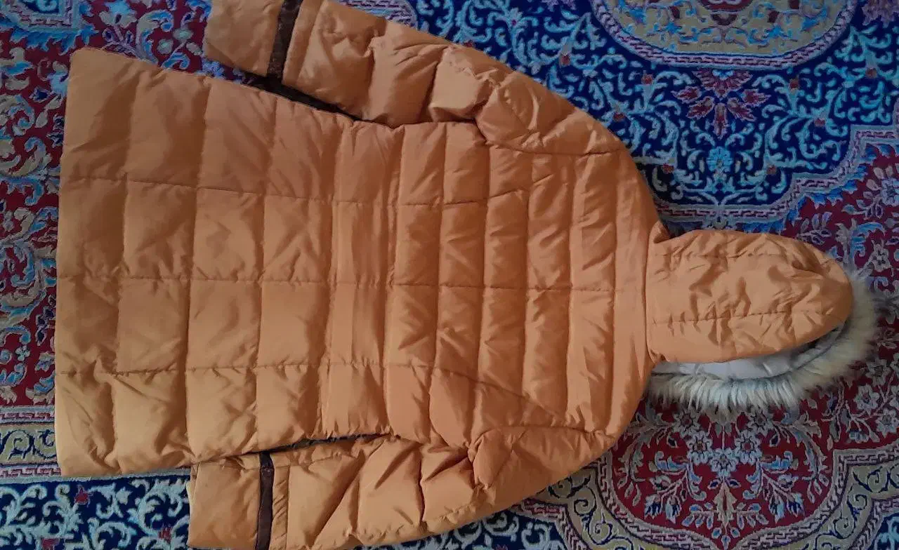 کاپشن دخترانه|لباس|تفت, |دیوار