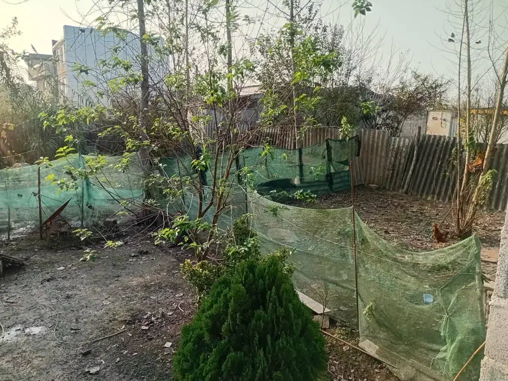 زمین ۴۰۰ متری ، باغی ، خانه نیمه کاره|فروش زمین و ملک کلنگی|رشت, بالاکویه|دیوار