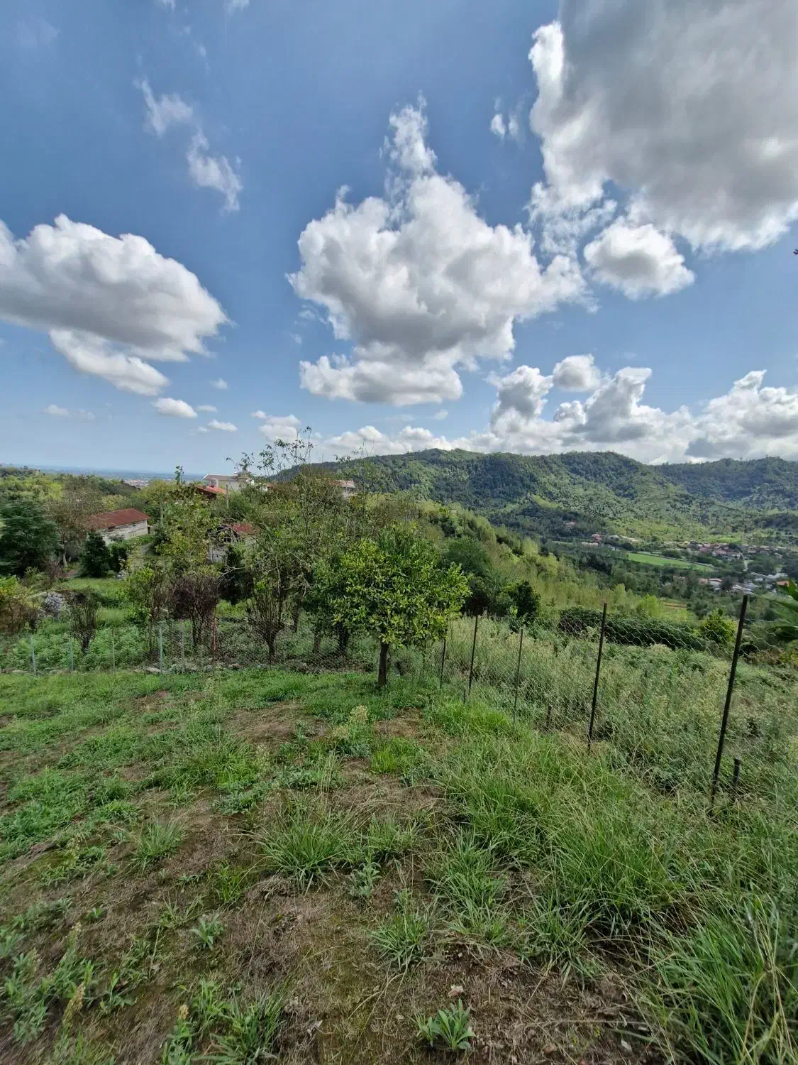 زمین با ویو ابدی|فروش زمین و ملک کلنگی|لنگرود, |دیوار