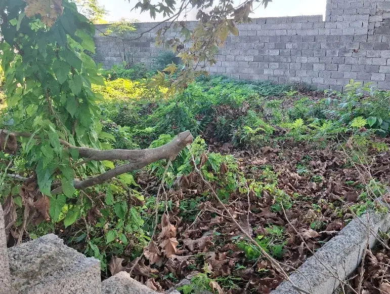 بابلسر هادی شهر 220 متر مسکونی شهری  با سند|فروش زمین و ملک کلنگی|بابلسر, |دیوار