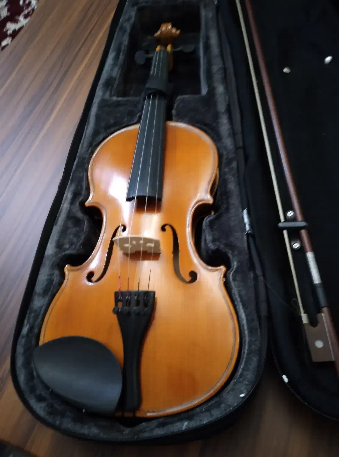 فروش گیتار و ویولون|گیتار، بیس، امپلیفایر|تبریز, |دیوار