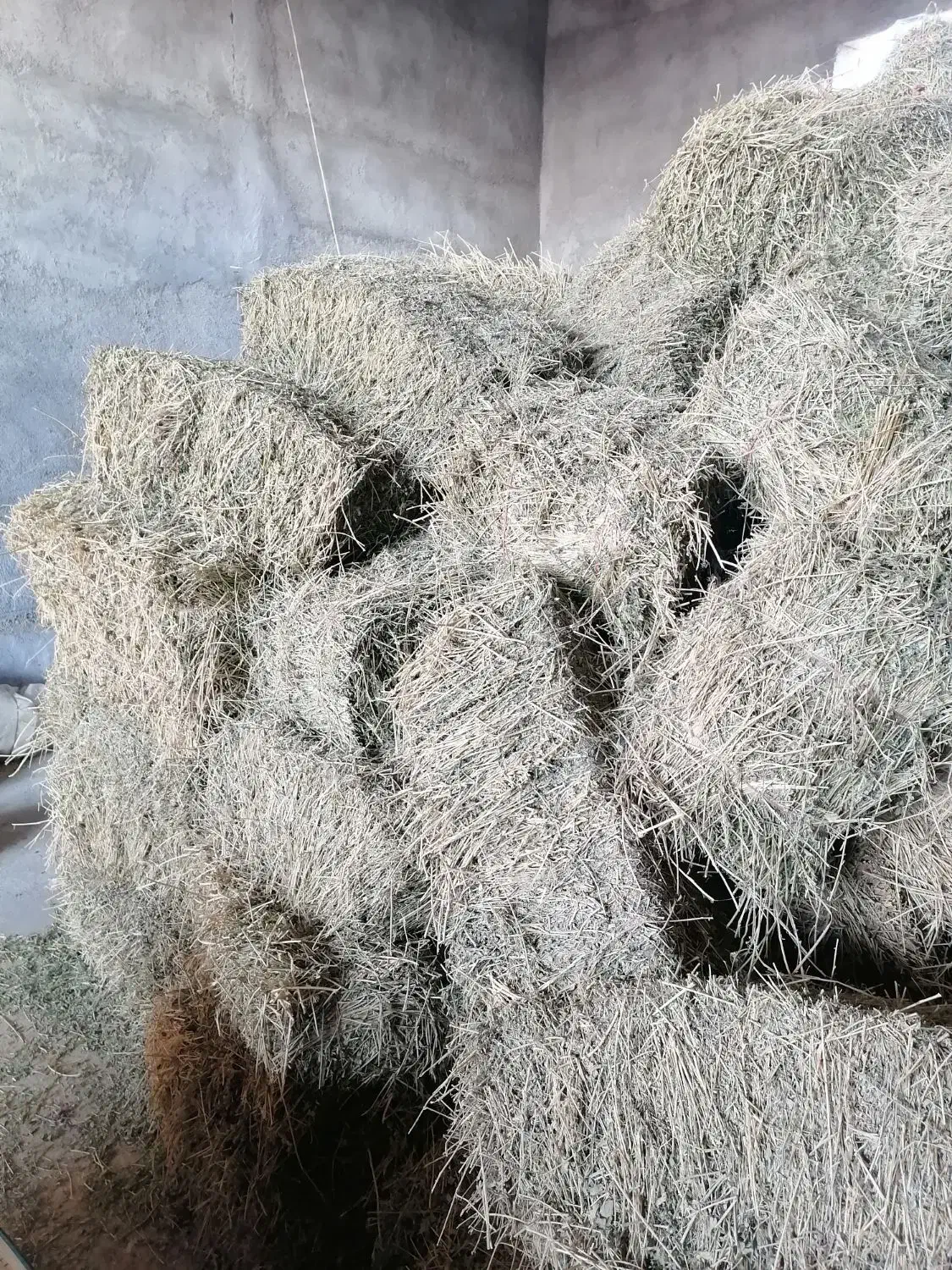 یونجه|عمده‌فروشی|مشهد, تبادکان|دیوار