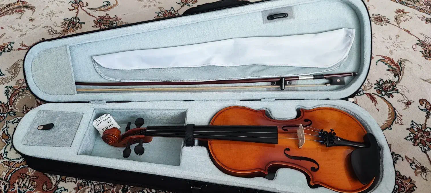 ویولن tf142|ویولن|شاهین‌شهر, فدک|دیوار