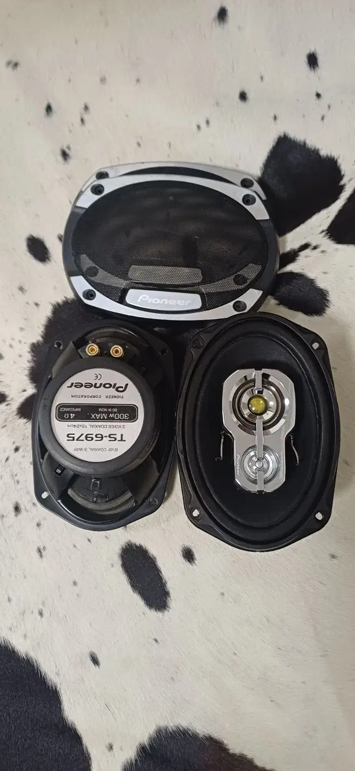 باند پاییونر|صوتی و تصویری|اردبیل, |دیوار