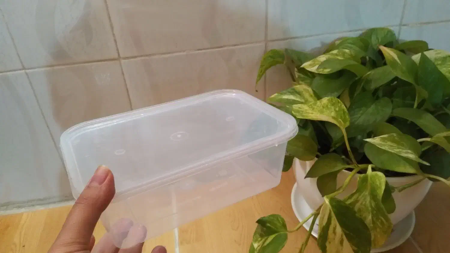 ظرف در دار|ظروف نگهدارنده، پلاستیکی، یک‌بارمصرف|گالیکش, |دیوار