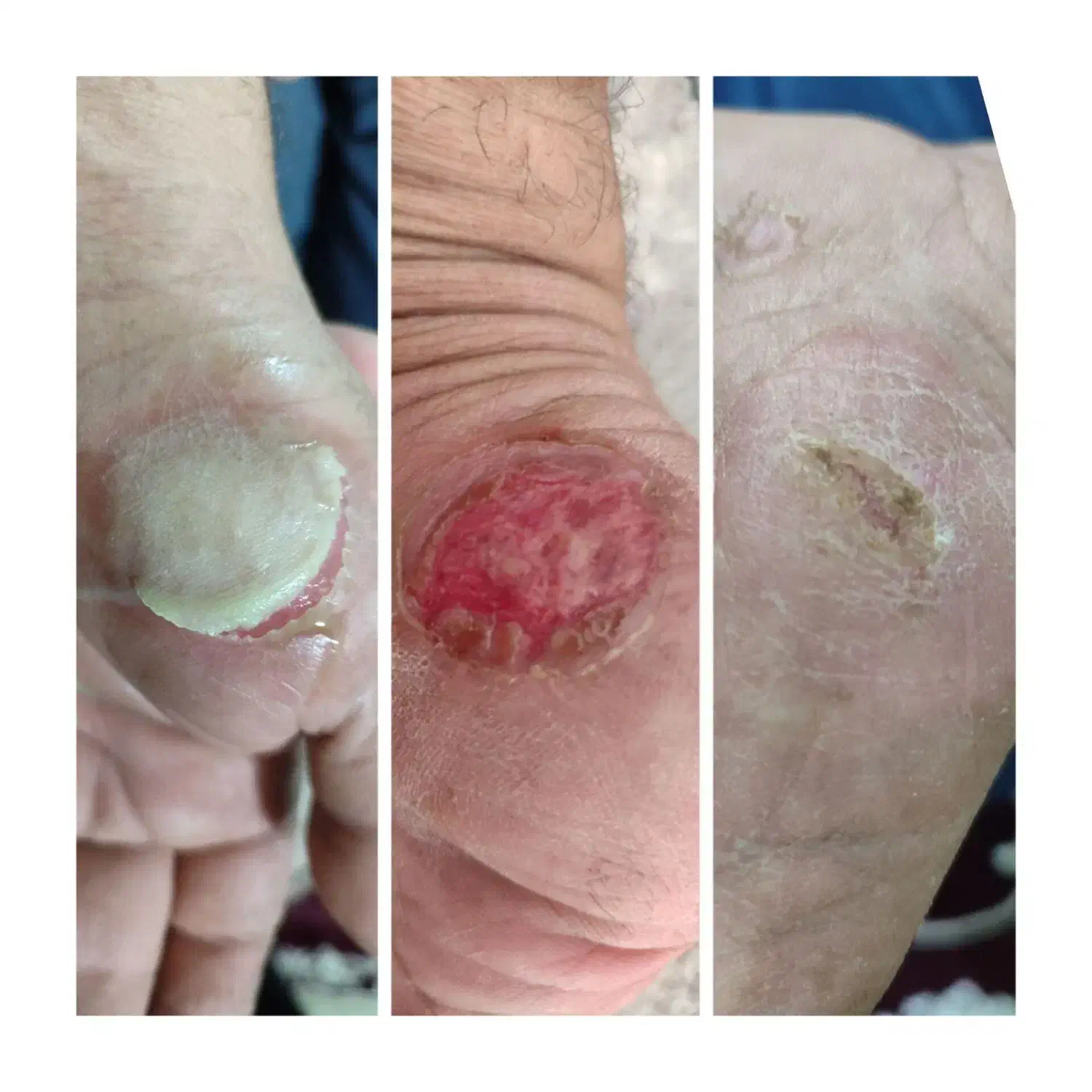 تونیک نانو وگان ( کلوئید نقره )|آرایشی، بهداشتی، درمانی|کوهدشت, |دیوار