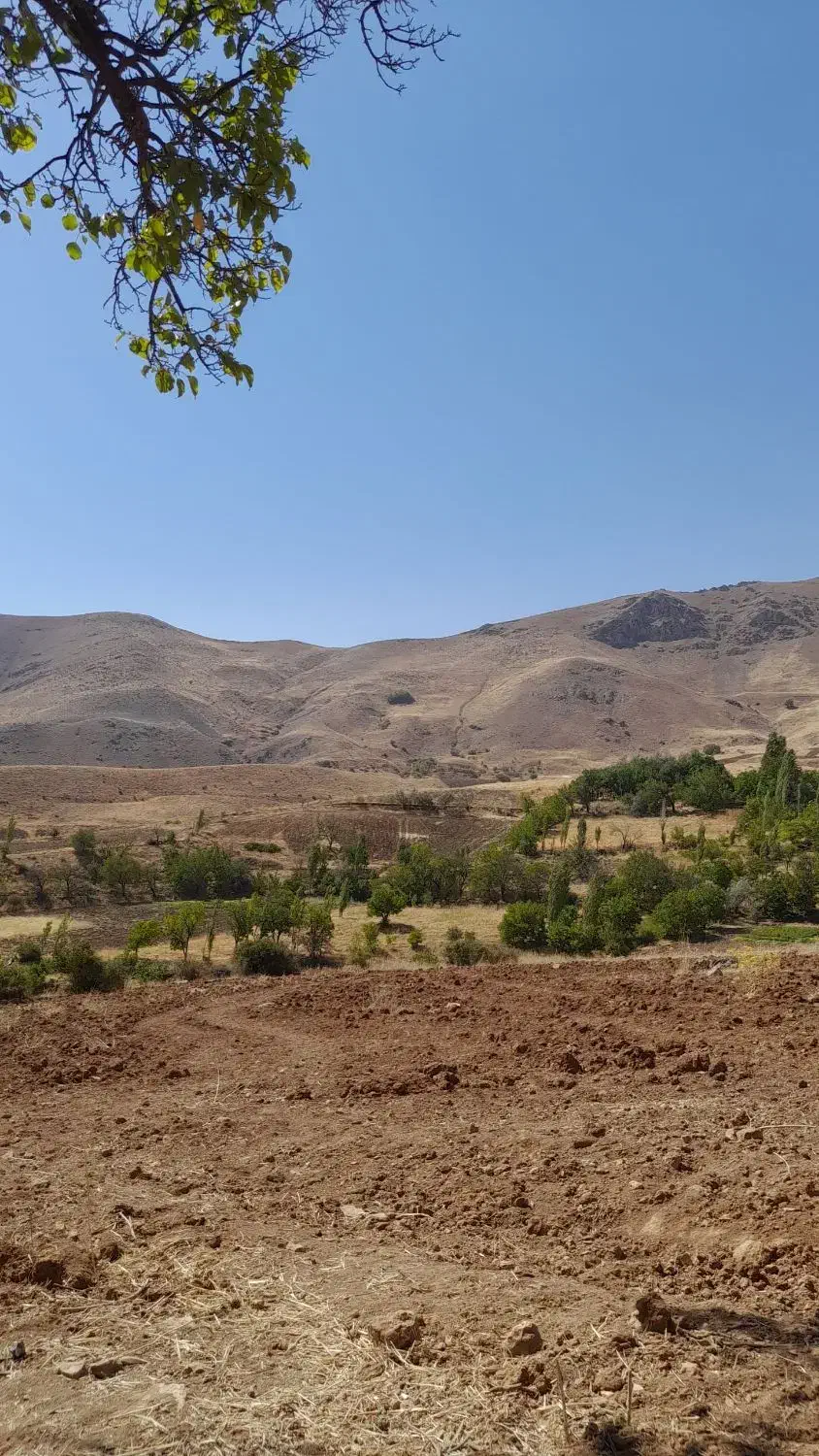 فروش زمین آبی|فروش زمین و ملک کلنگی|موچش, |دیوار