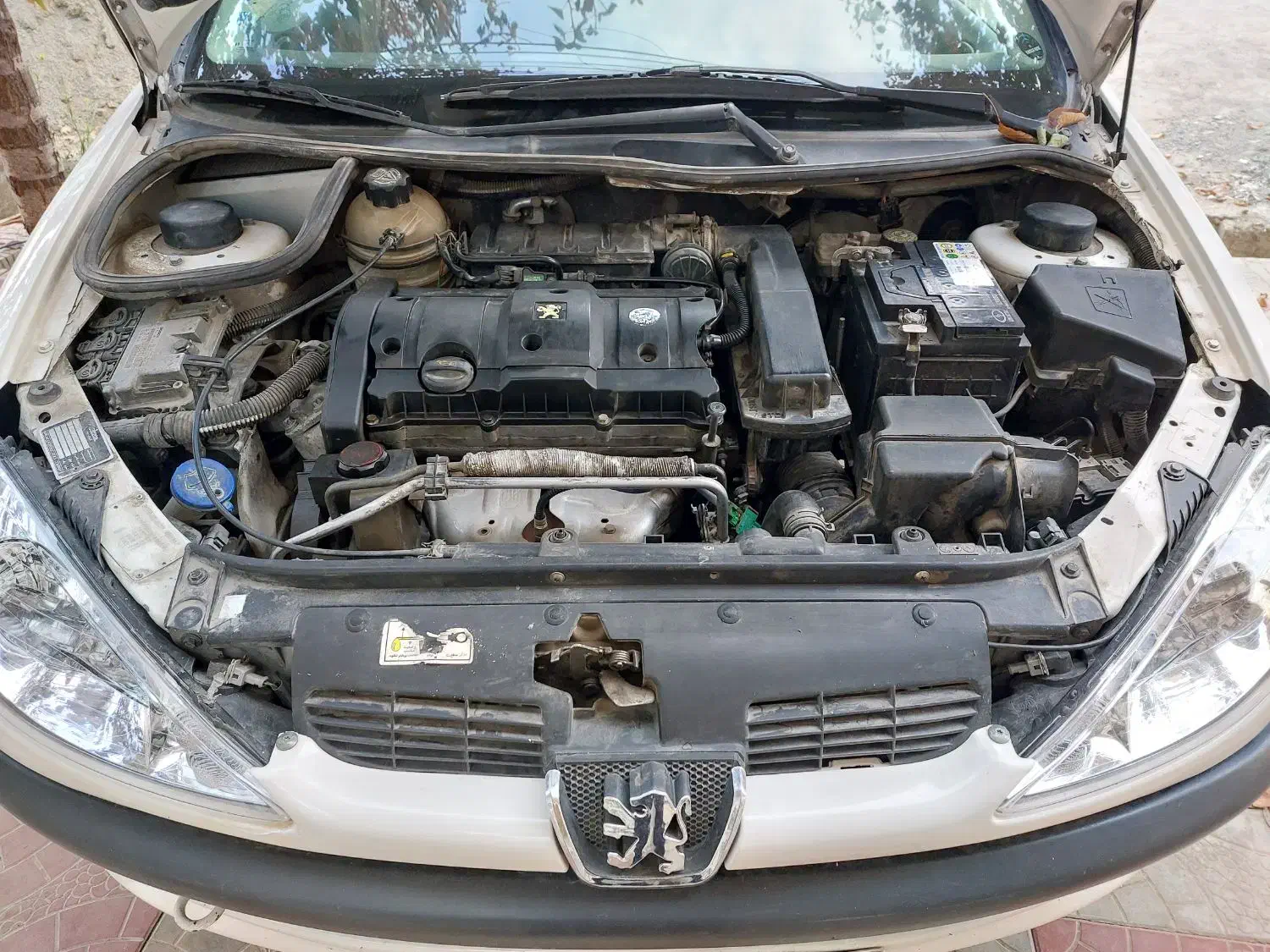 206sd v8 88|خودرو سواری و وانت|سلماس, |دیوار