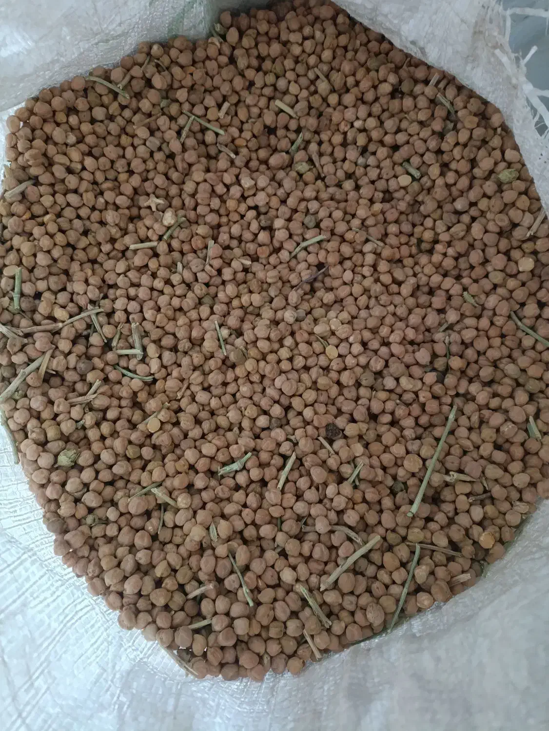 نوک (نخود  ترکیه )|خوردنی و آشامیدنی|پیرانشهر, |دیوار