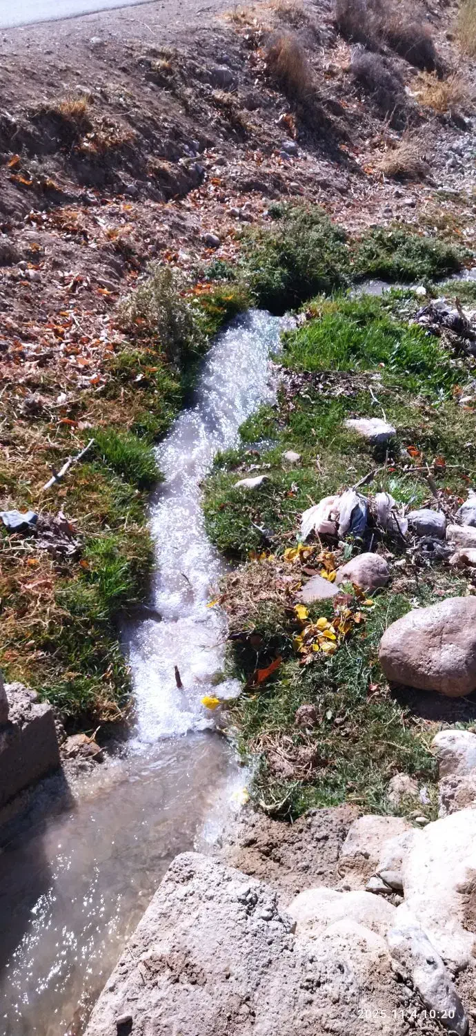 باغ ۴۰۰۰ متری در روستای ده سرخ سد کارده|فروش زمین و ملک کلنگی|مشهد, کلاهدوز|دیوار