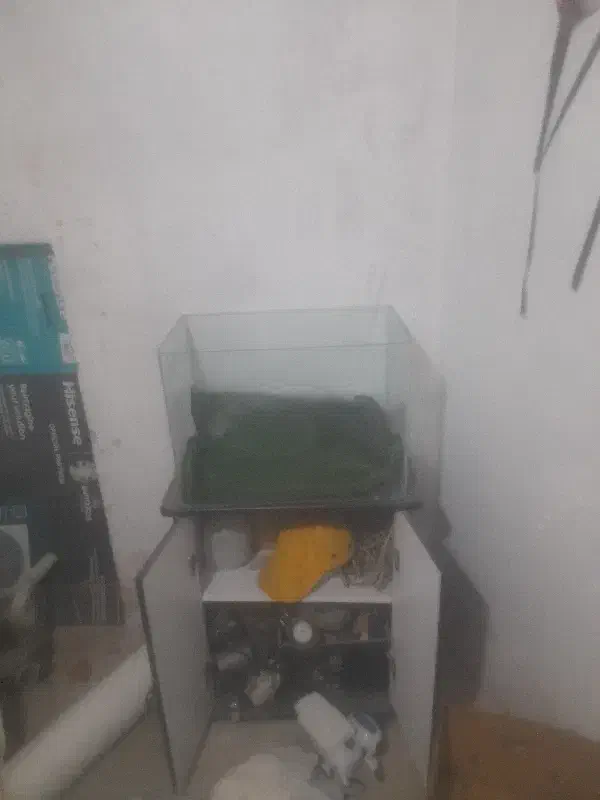 آکواریوم شیشه خم شرکتی ماهیران|ماهی|اصفهان, مهدی آباد|دیوار