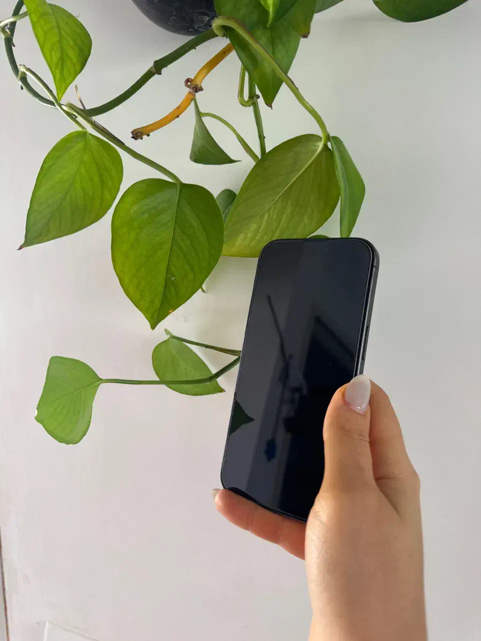 iphone 17 CH 256|موبایل|تبریز, |دیوار