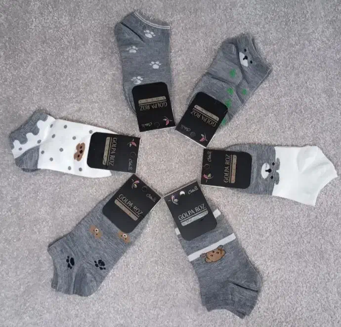 جوراب|کیف، کفش، کمربند|کرمان, |دیوار