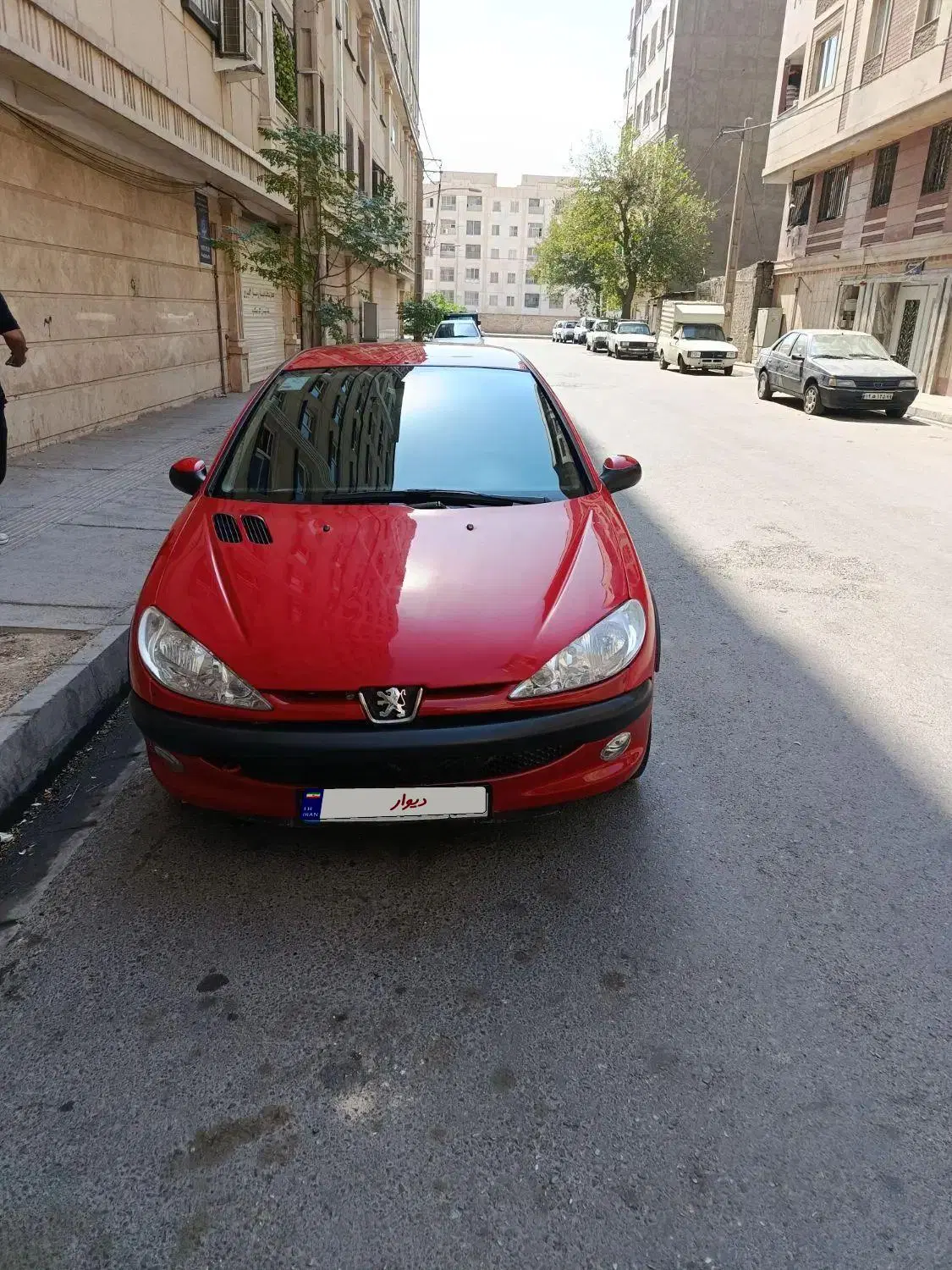 206sd v8|خودرو سواری و وانت|تهران, شهید رجایی|دیوار