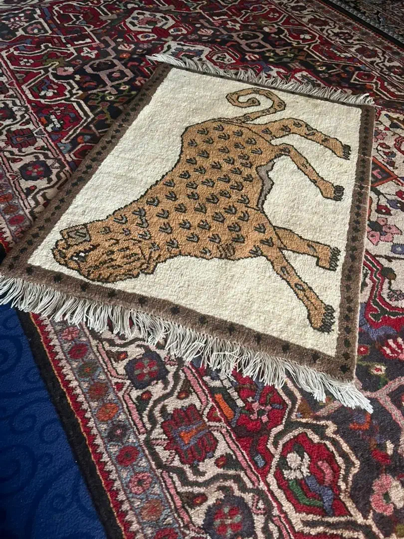 قالی فرش دسبافت|فرش|شیراز, سجادیه|دیوار