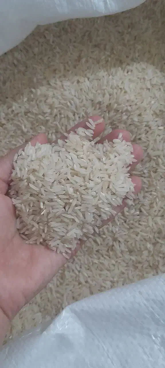 برنج هاشمی درجه یک|خوردنی و آشامیدنی|پارسآباد, |دیوار