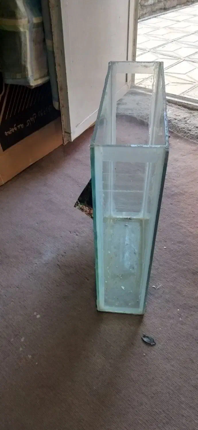 اکواریوم|ماهی|قوچان, |دیوار