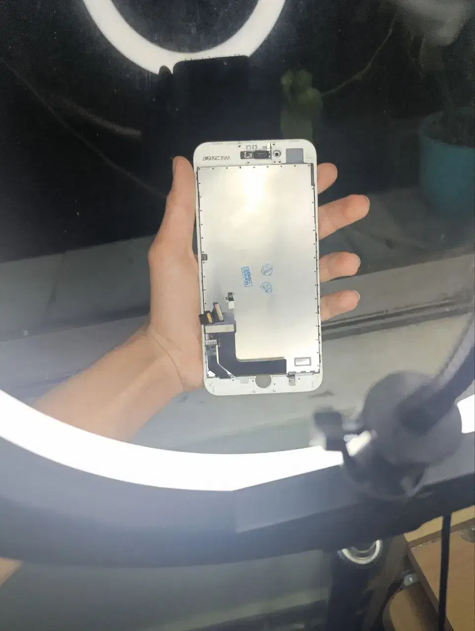 ایفون 5|موبایل|رشت, دیلمان|دیوار