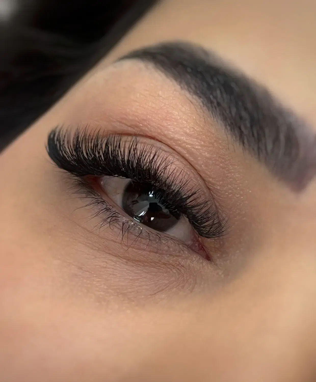 تخفیف بلک فرایدی اکستنشن مژه،لیفت مژه و ابرو|خدمات آرایشگری و زیبایی|صدرا-فارس, فاز ۱|دیوار