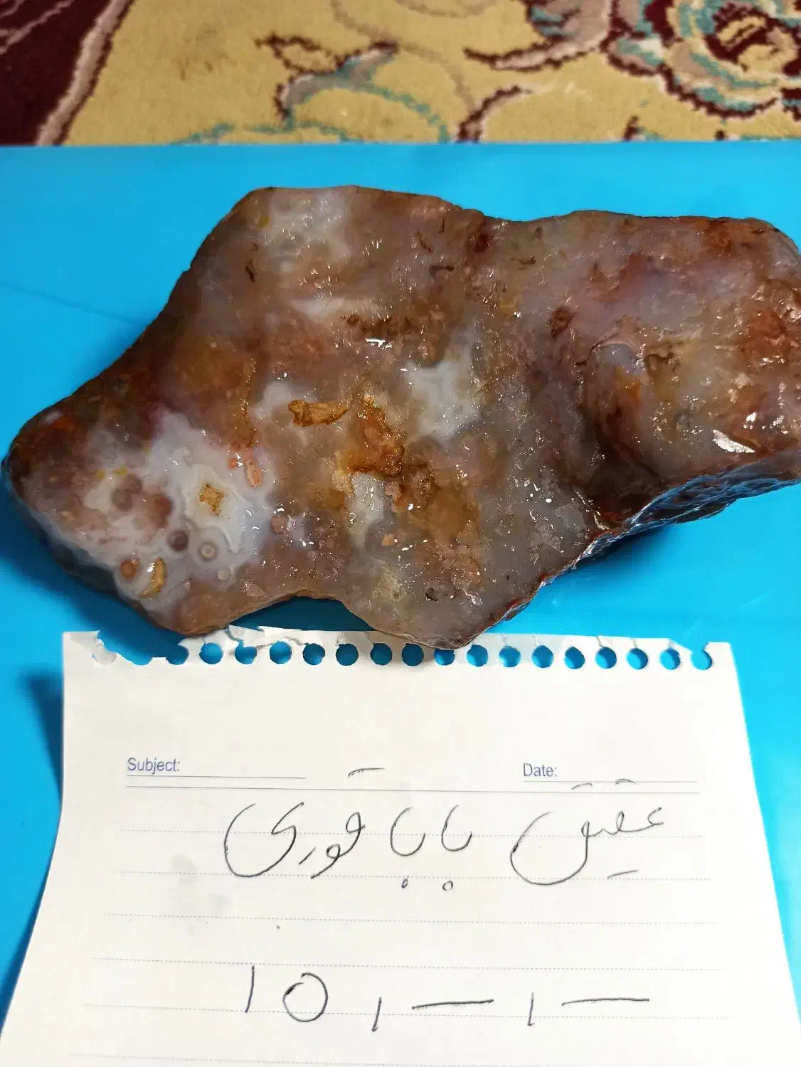 سنگ راف شجر|کلکسیون اشیاء عتیقه|شادمهر, |دیوار