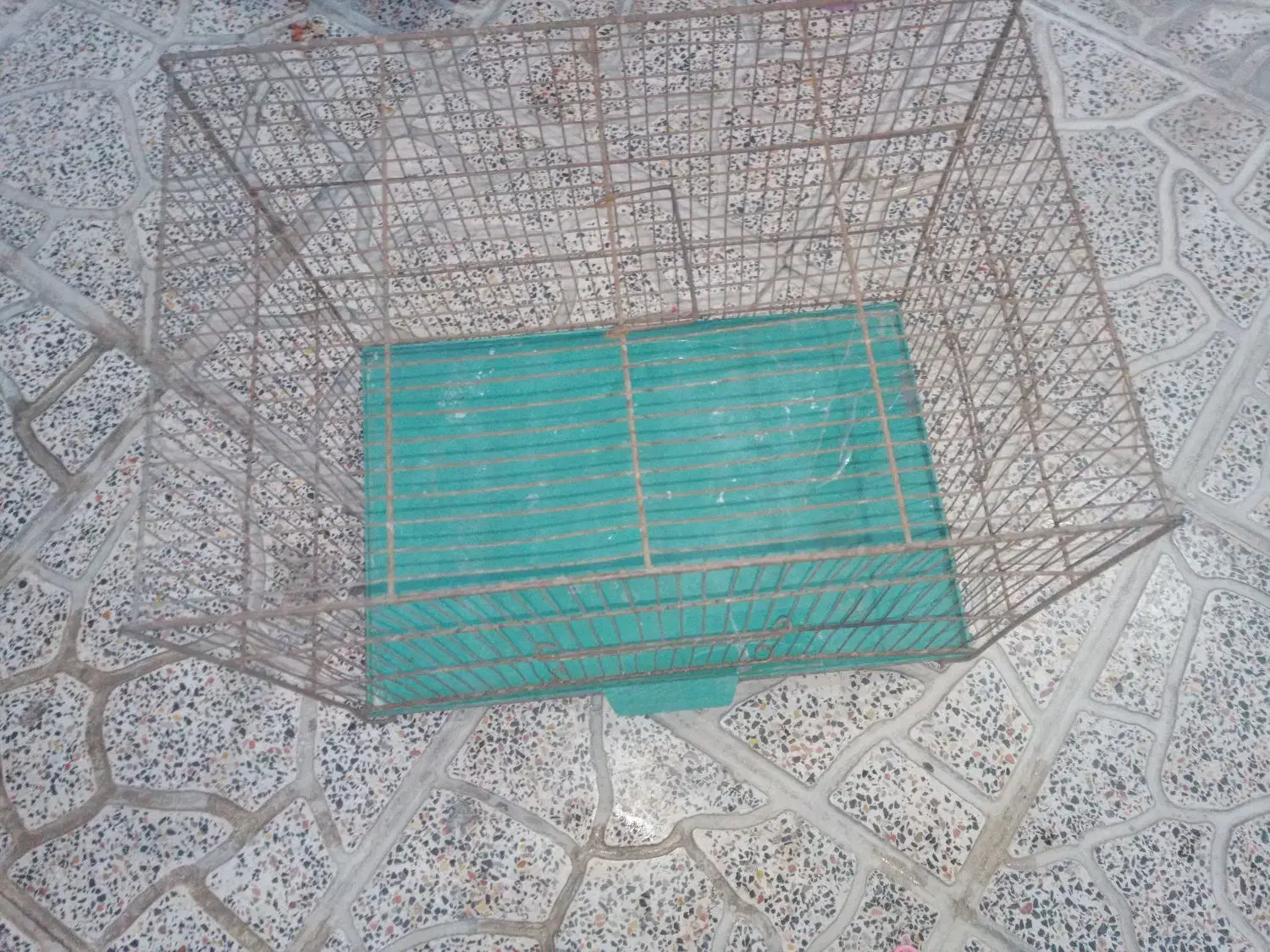 قفس بزرگ برای مرغ عشق و فنج هر نوع پرنده ای|لوازم جانبی حیوانات|کرمانشاه, |دیوار