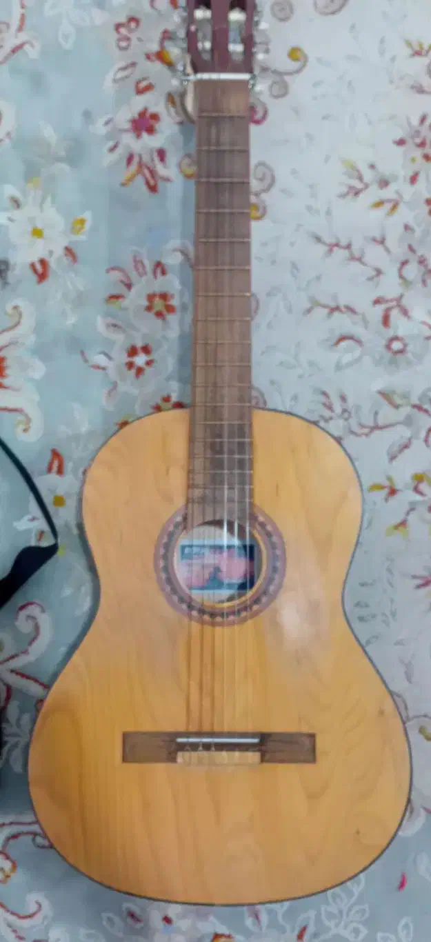 گیتار|گیتار، بیس، امپلیفایر|فردیس, فردیس|دیوار