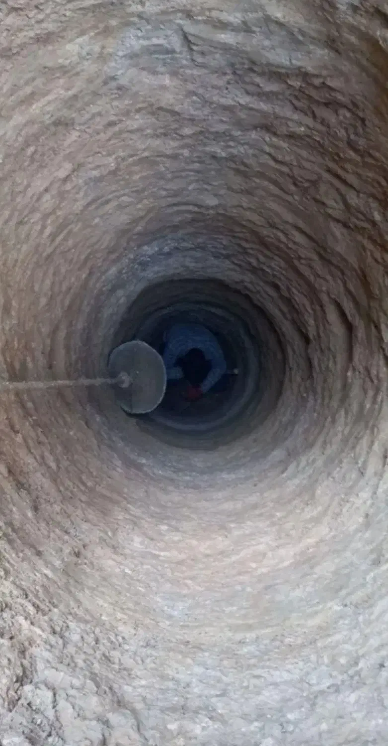 باغبانی و چاه کنی|خدمات باغبانی و درختکاری|برخوار, |دیوار