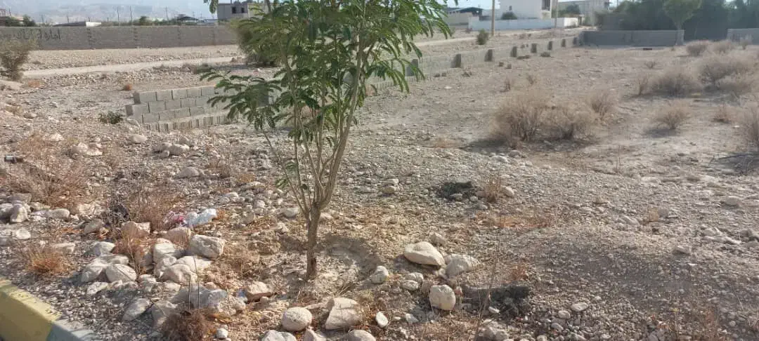 فروش زمین تجاری و صنعتی در بهارستان|فروش زمین و ملک کلنگی|جم, |دیوار