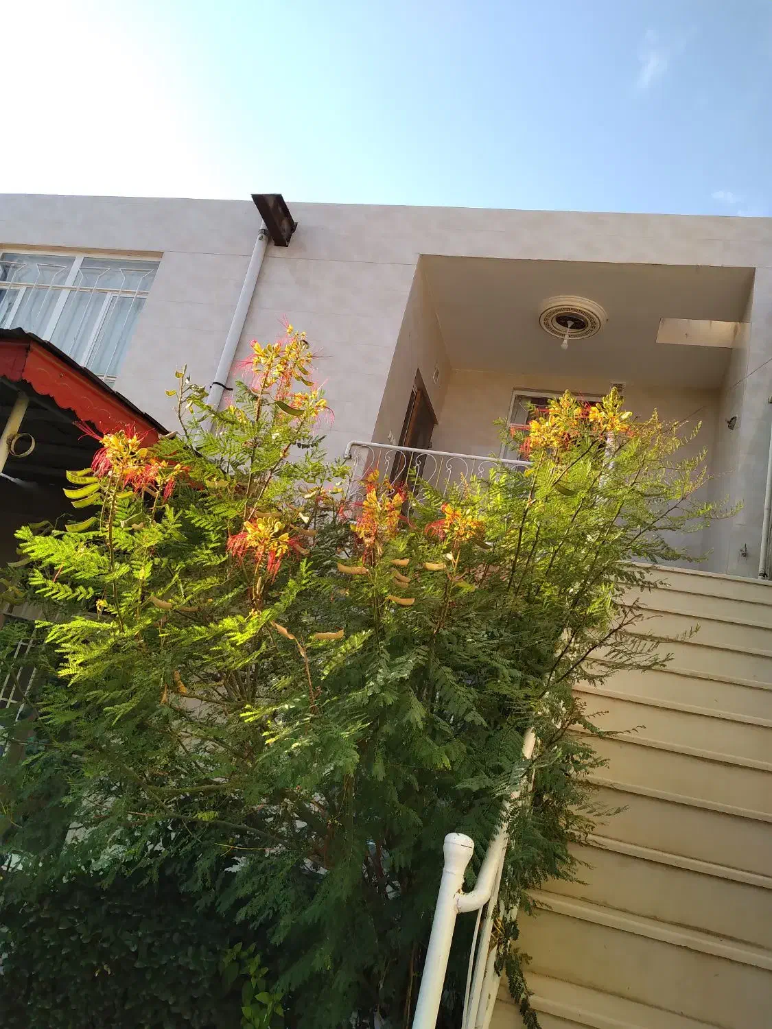 سوئیت ویلایی|اجارهٔ کوتاه‌مدت آپارتمان و سوئیت|نیشابور, خیام|دیوار