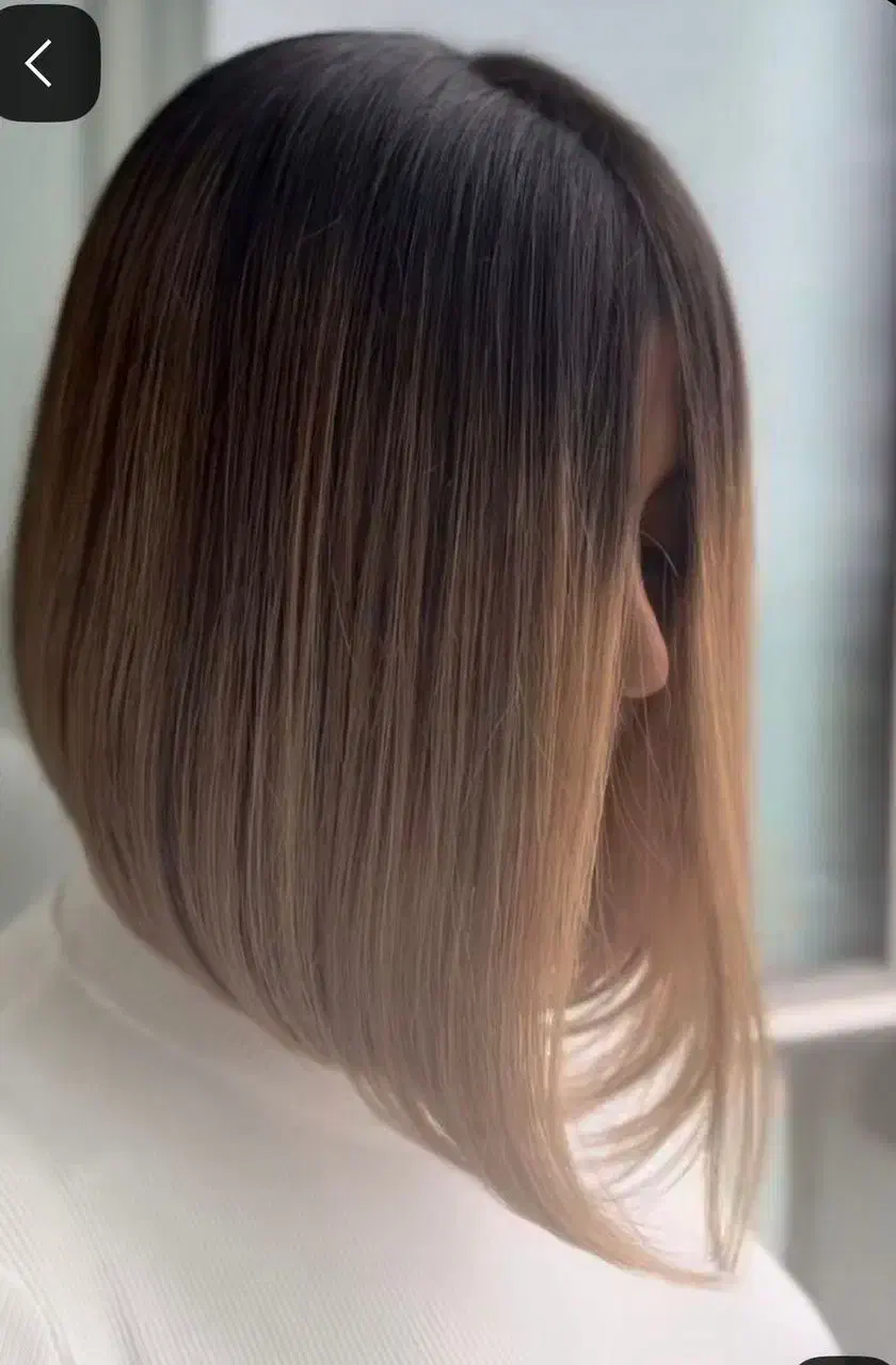 مدل برای کوتاهی مو|خدمات آرایشگری و زیبایی|رشت, کاکتوس|دیوار