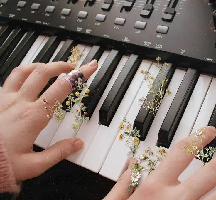 اورگpa900|پیانو، کیبورد، آکاردئون|خرم‌آباد, |دیوار