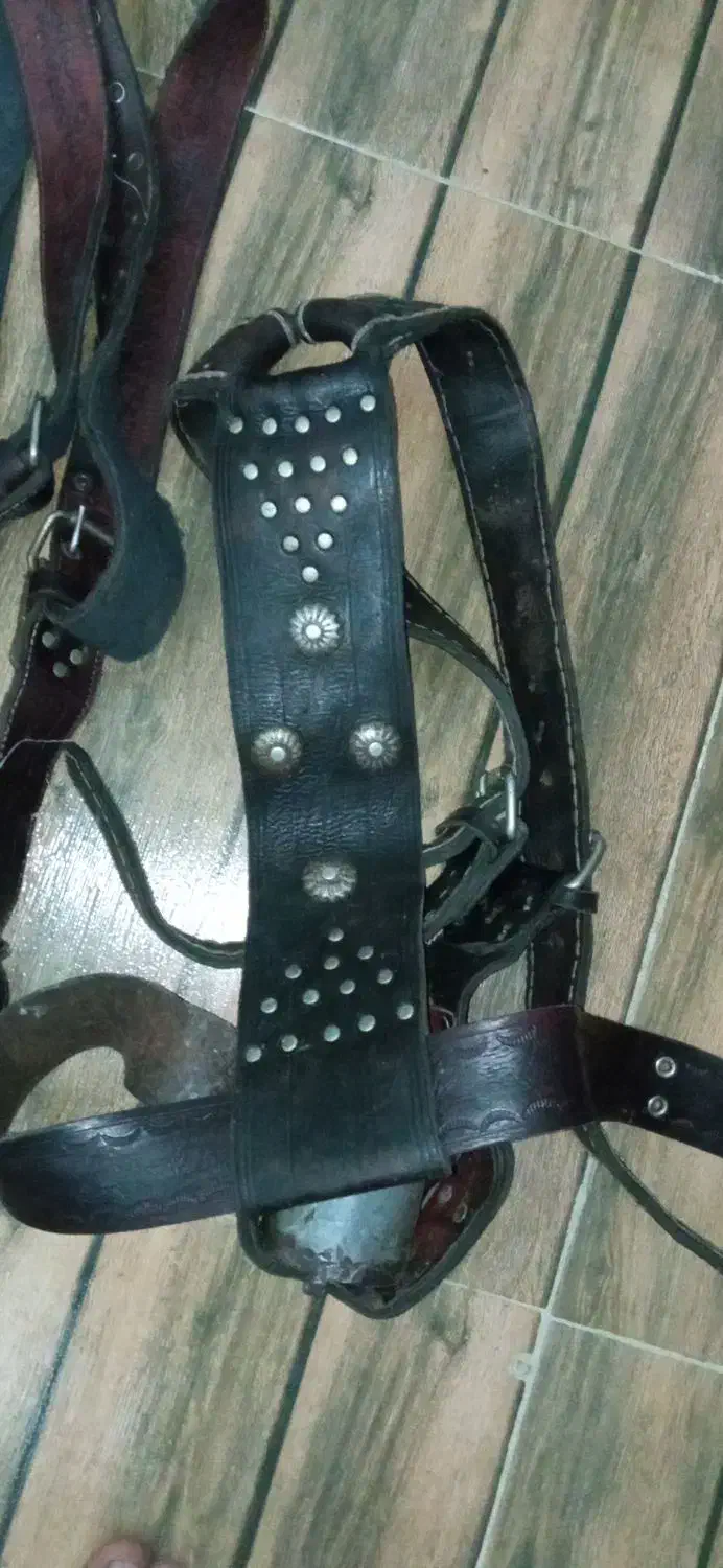 کمربند علامت|کلکسیون اشیاء عتیقه|دورود, |دیوار