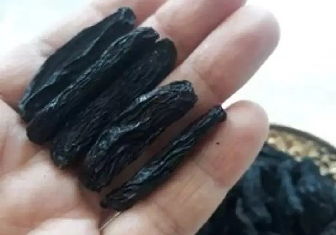 کشمش افتابی،سبز،زرد|خوردنی و آشامیدنی|کاشمر, |دیوار