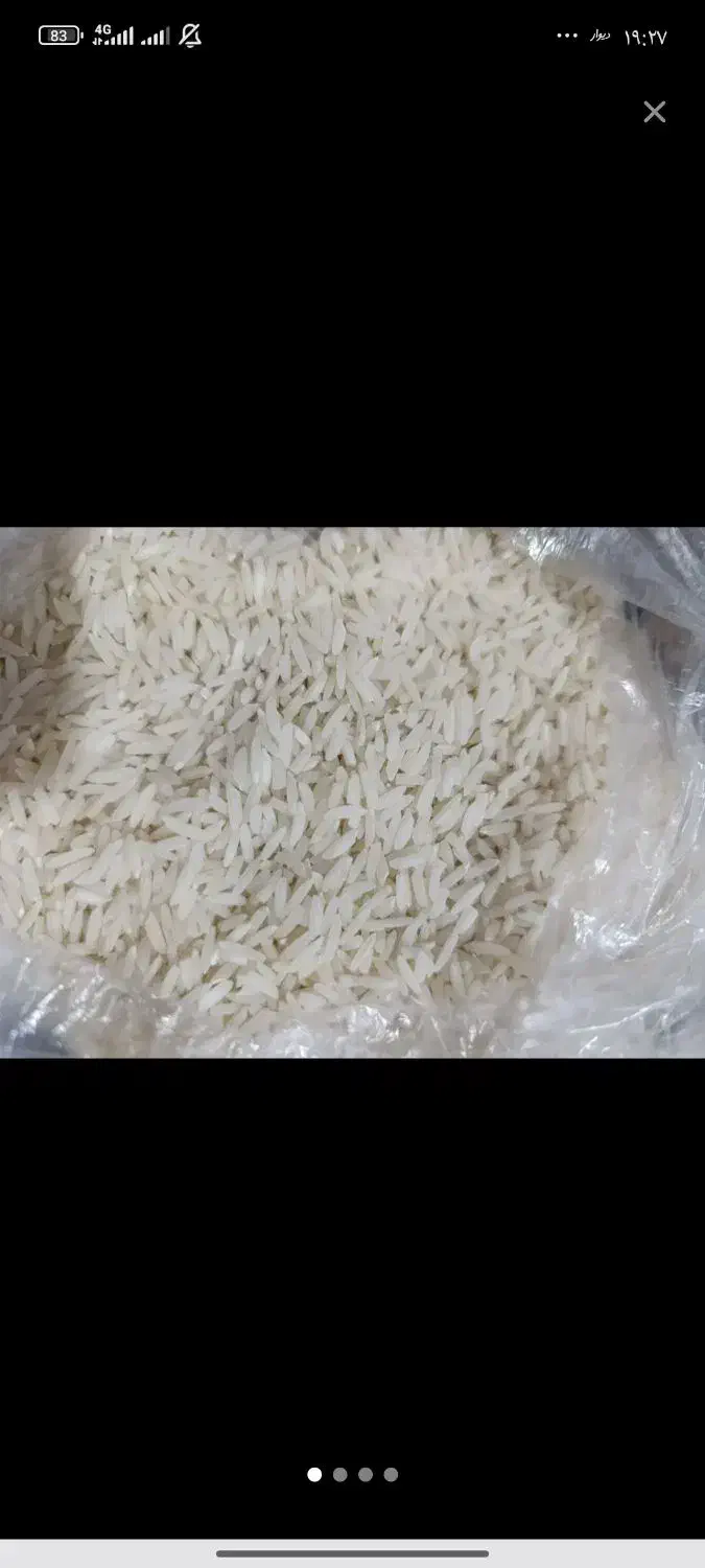 پلو|خوردنی و آشامیدنی|رشت, جانبازان|دیوار
