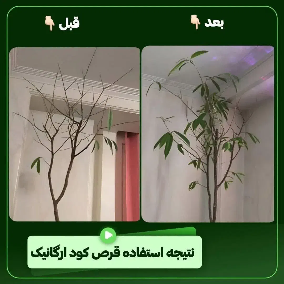 قرص کود ارگانیک غذای گیاهان آپارتمانی|گل و گیاه طبیعی|گلستان (تهران), |دیوار