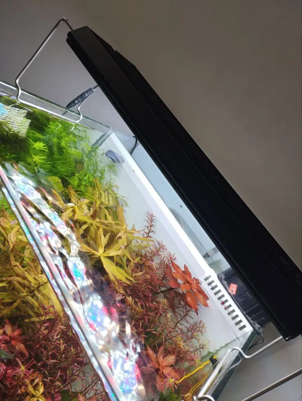 اکواریوم تجهیزات پلنت co2 دفیوزر خاک نور انوبیاس|ماهی|اصفهان, طامه|دیوار