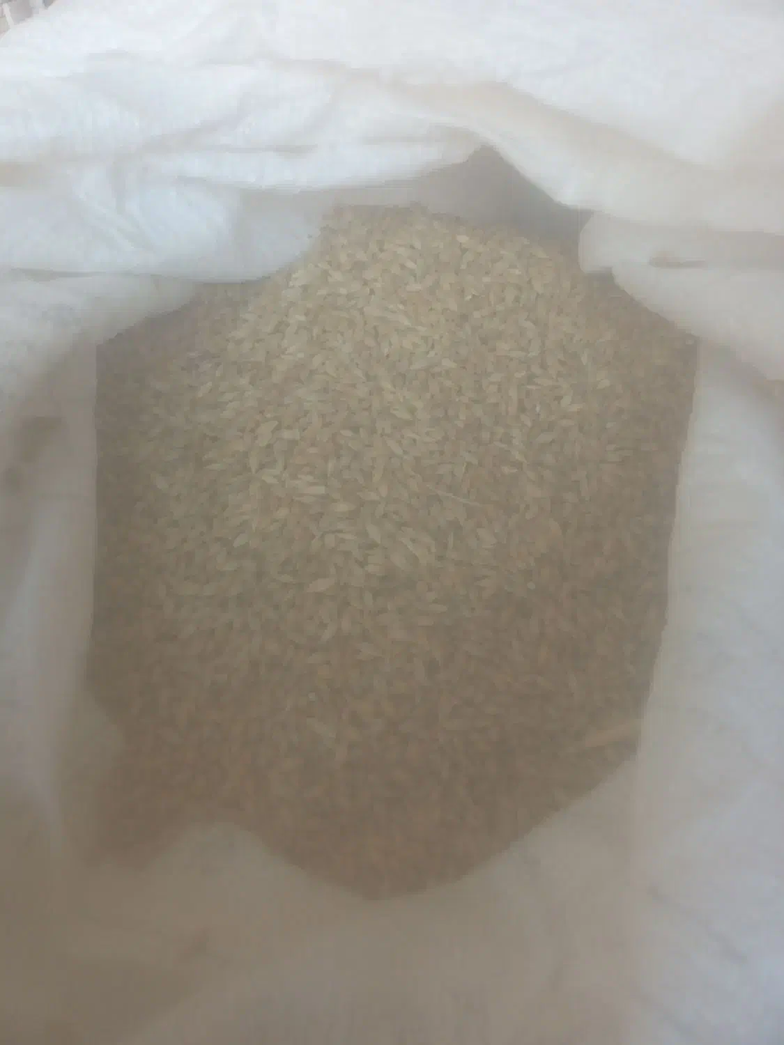 فروش جو وکاه یونجه کوبیده شده|لوازم جانبی حیوانات|بروجرد, |دیوار