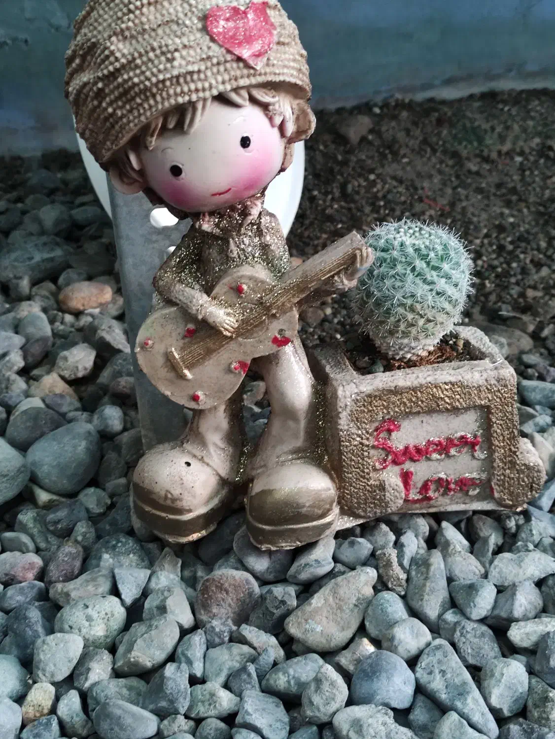 گل گیاه گلستان|گل و گیاه طبیعی|جیرفت, |دیوار