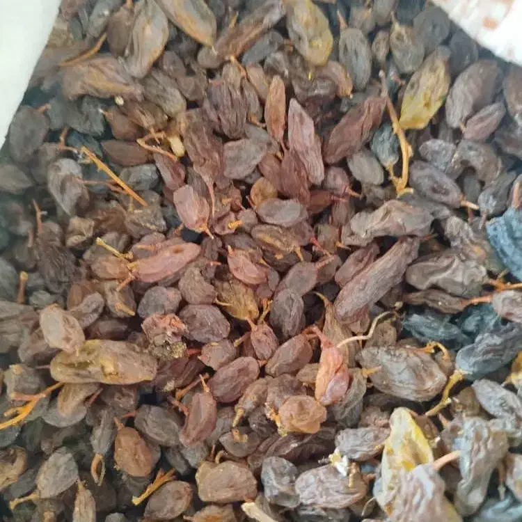 کشمش مویز|عمده‌فروشی|بیضا, |دیوار