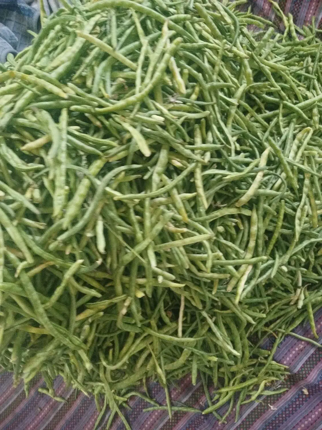 لوبیا چشم بلبلی|خوردنی و آشامیدنی|اهواز, اسلام آباد شرقی|دیوار