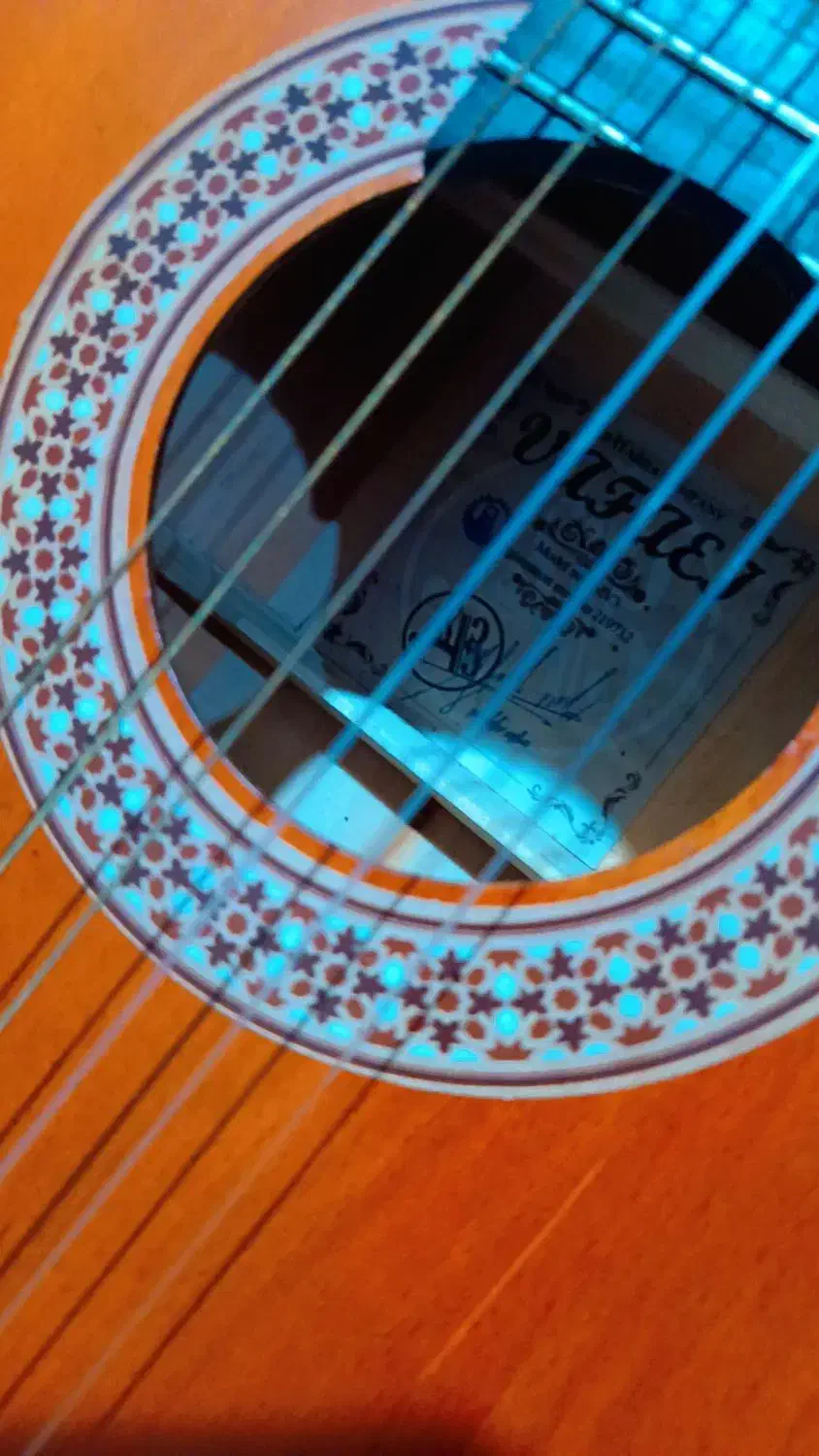 گیتار نو بدون خط و خش و استفاده نشده|گیتار، بیس، امپلیفایر|شیراز, سلطان آباد|دیوار