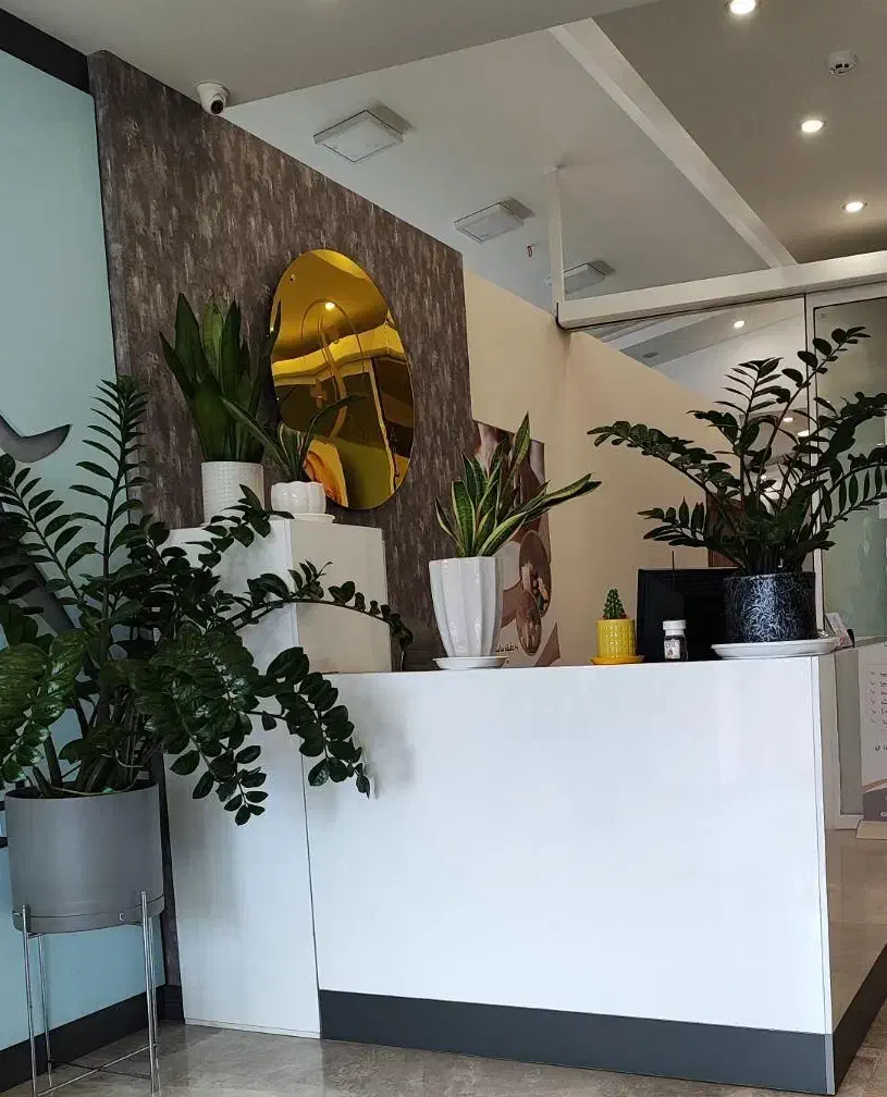 منشی مدیرعامل خانم 20تا40سال|استخدام اداری و مدیریت|تهران, میرداماد|دیوار