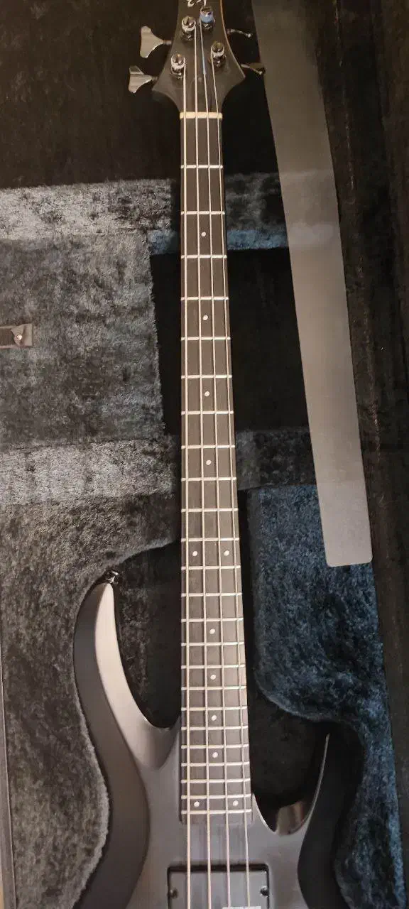 گیتار بیس ESP|گیتار، بیس، امپلیفایر|تهران, ازگل|دیوار