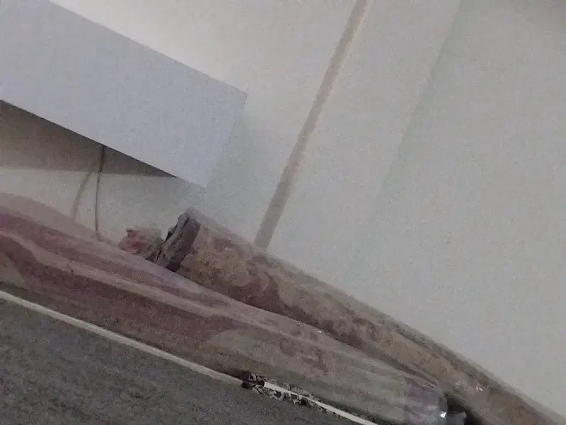 فرش سه در چهار|فرش|مشهد, شهید قربانی|دیوار