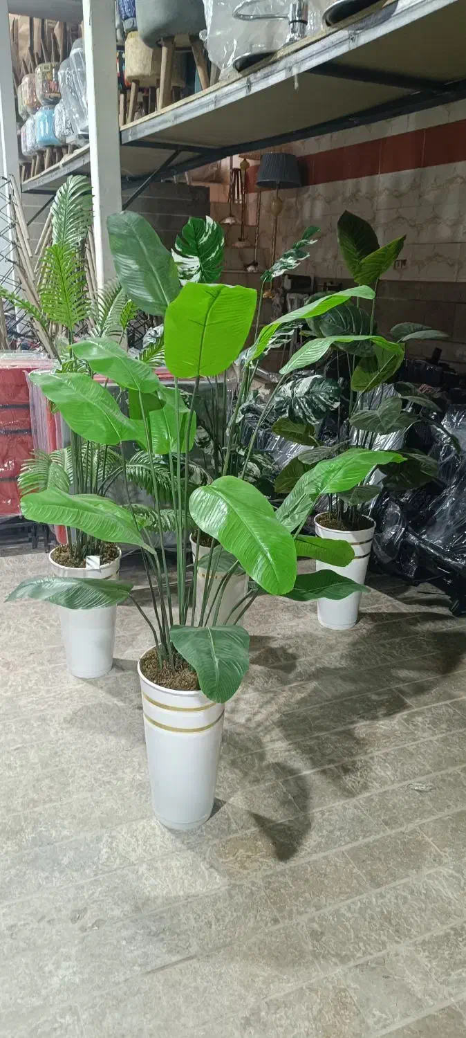 گلدان و گل مصنوعی خارجی|گل مصنوعی|شیراز, سهل‌آباد|دیوار