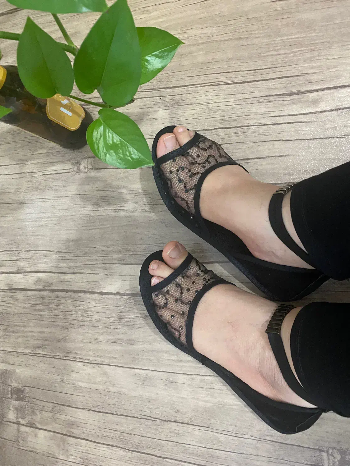 پاپوش مجلسی|لباس|شهرضا, |دیوار